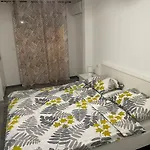 Mira ***** Vilă Pinezići